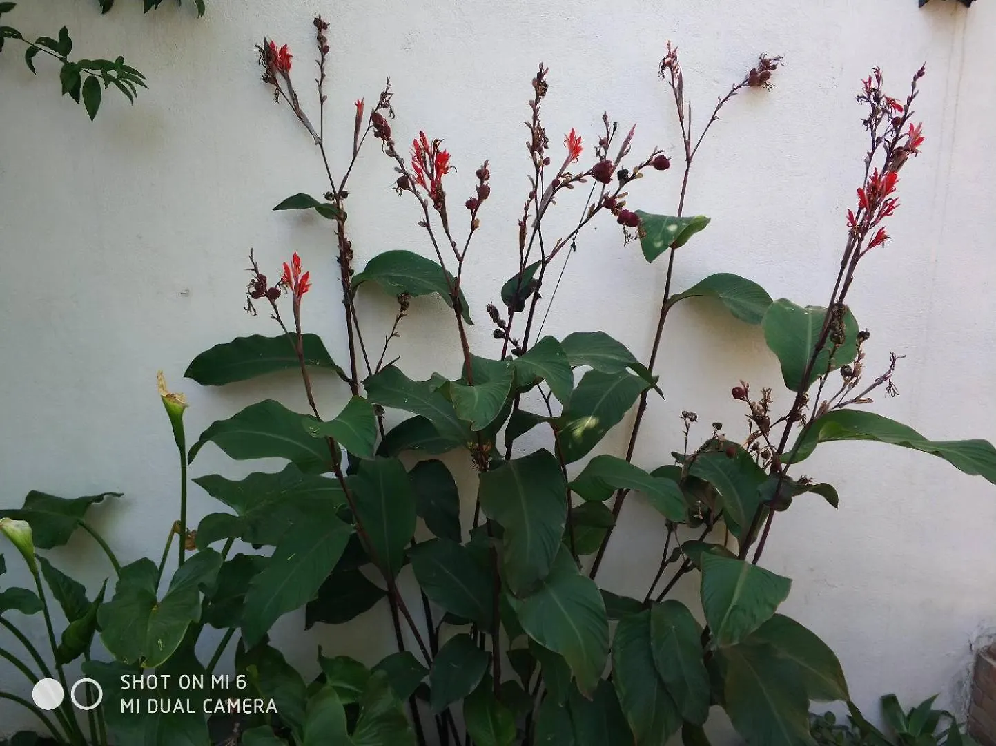 Apartment Alacas Sevilla 0*, Seville