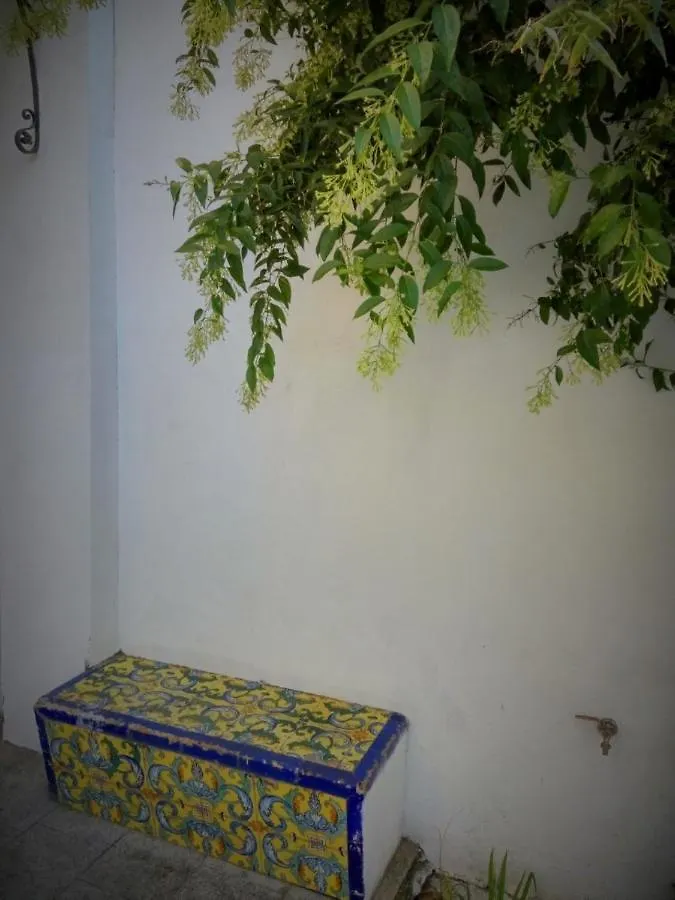 Apartment Alacas Sevilla 0*, Seville